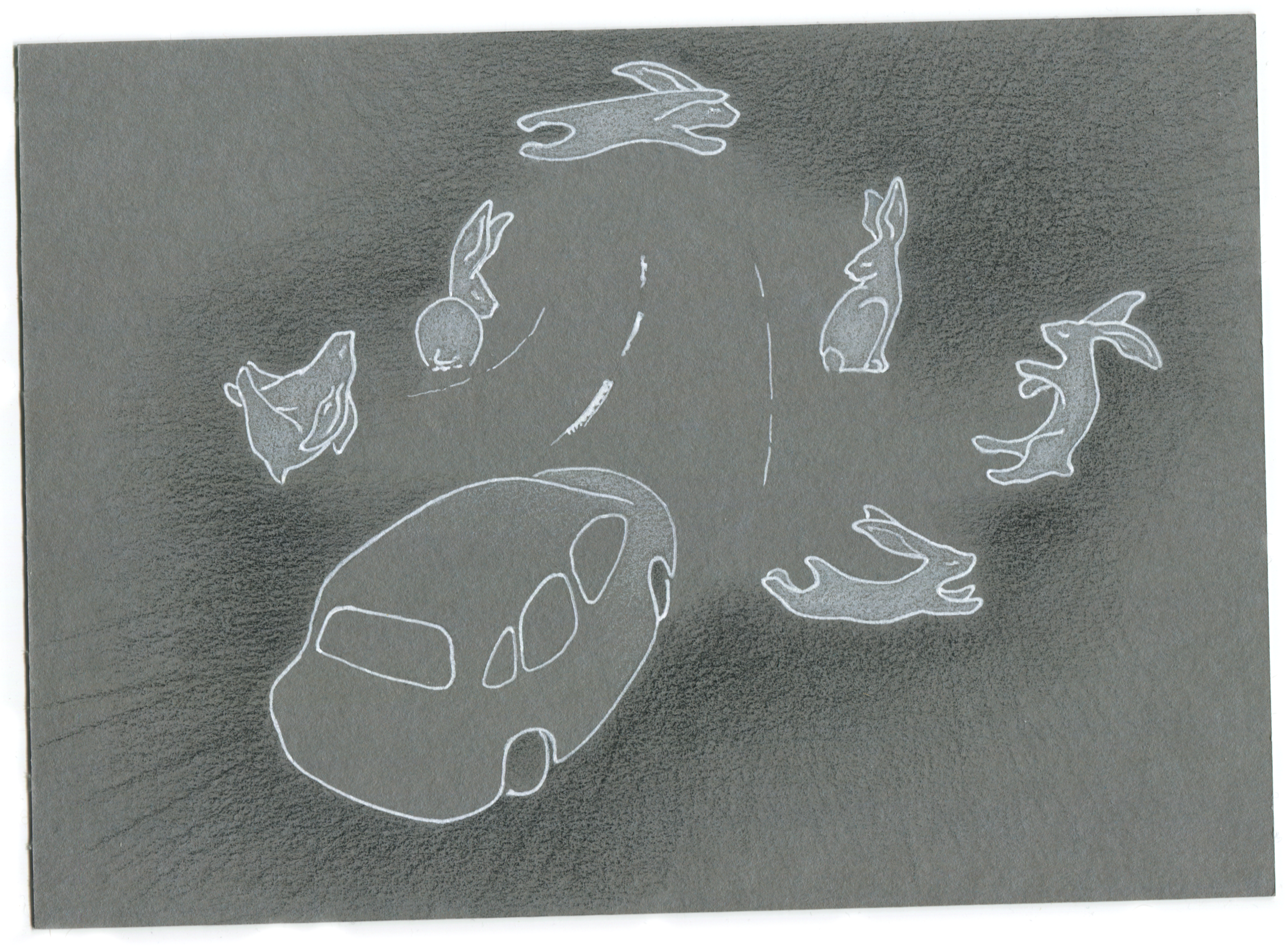 Rabbits in the dark.  Dozens of.  Hundreds.